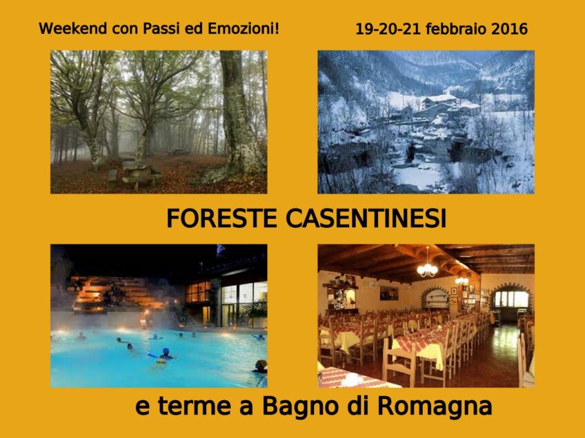 Foreste Casentinesi
